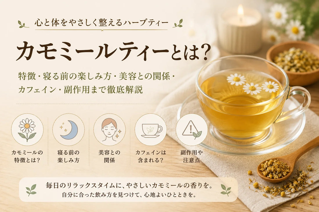 カモミールティーとは？特徴・寝る前の楽しみ方・美容との関係・カフェイン・副作用まで徹底解説