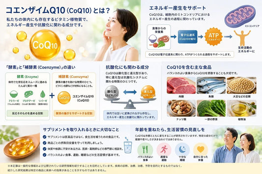コエンザイムQ10とは？働き・年齢との関係・酸化型と還元型の違い、摂取方法をわかりやすく解説
