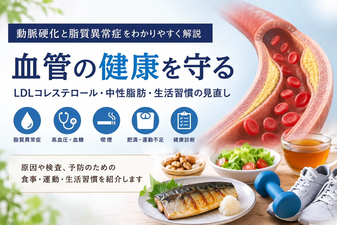 動脈硬化とは？脂質異常症・LDLコレステロールとの関係と血管の健康を守る生活習慣