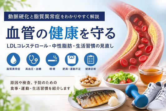 動脈硬化とは？脂質異常症・LDLコレステロールとの関係と血管の健康を守る生活習慣