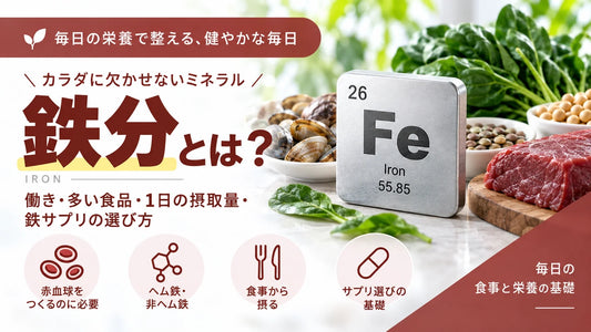 鉄分とは？働き・多い食品・1日の摂取量・不足と鉄サプリの選び方を解説