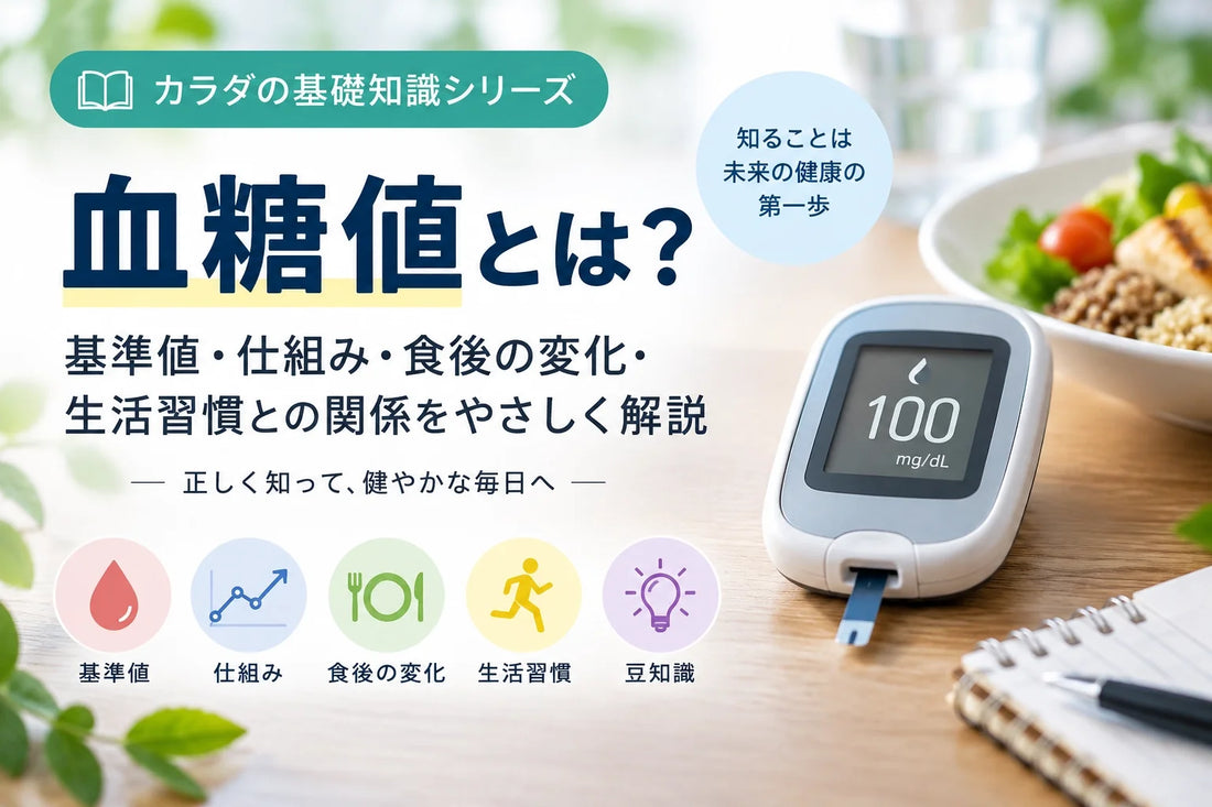 血糖値とは？基準値・上がる仕組み・食後血糖・HbA1c・GI値をわかりやすく解説