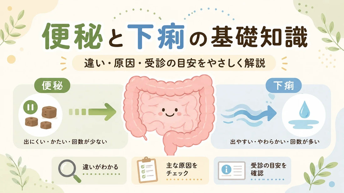 便秘と下痢はなぜ起こる？原因・便の状態・対処法・受診目安を徹底解説