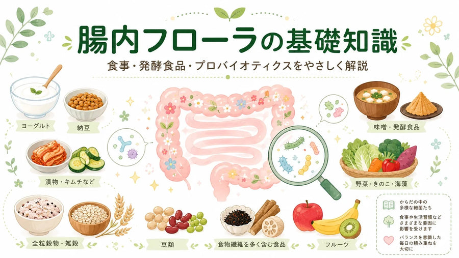 腸内フローラとは？腸内細菌の働き・多様性・食生活との関係を徹底解説