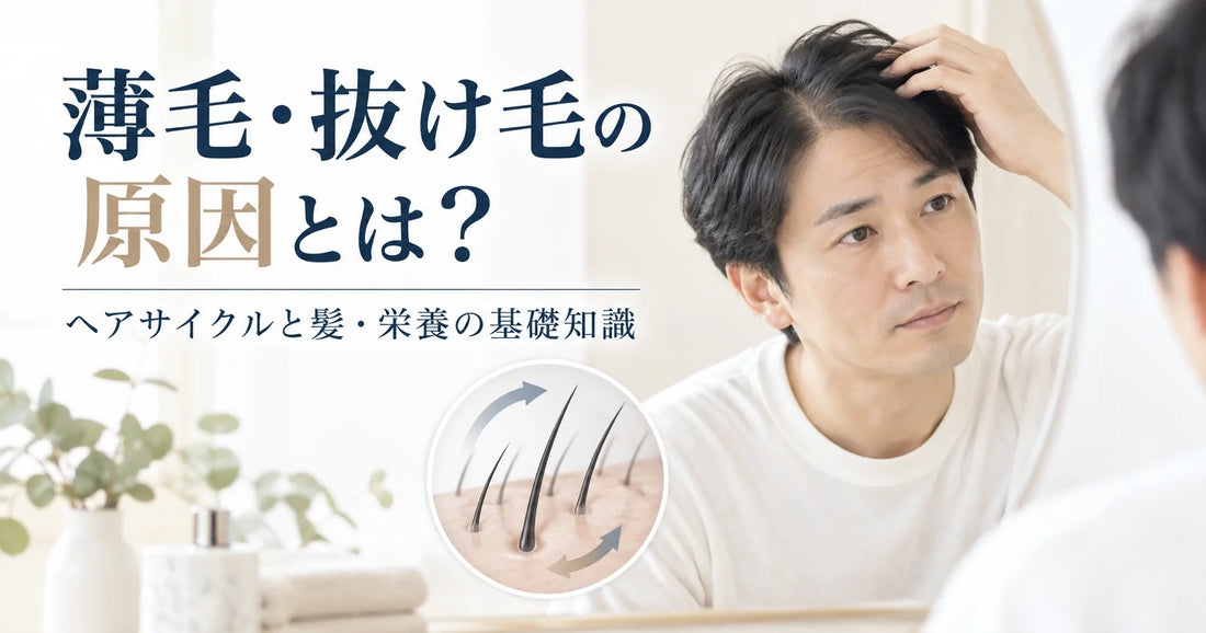 薄毛・抜け毛の原因とは？ヘアサイクルと日常生活で見直したいこと、髪と栄養の基礎知識