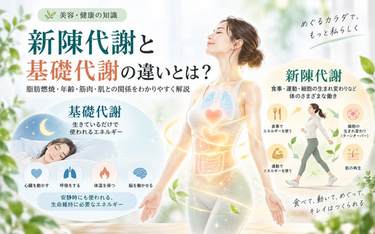 新陳代謝と基礎代謝の違いとは？脂肪燃焼・年齢・筋肉・肌との関係をわかりやすく解説