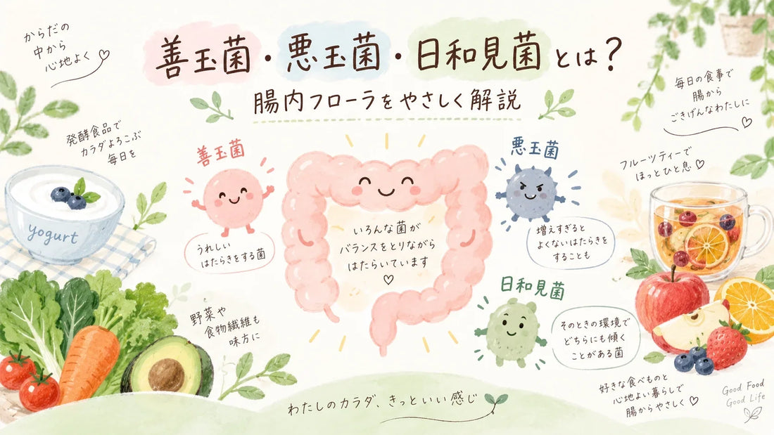 善玉菌・悪玉菌とは？腸内フローラとプロバイオティクスの関係をわかりやすく解説