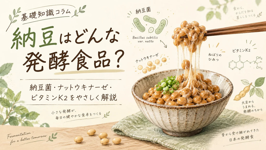 納豆はプロバイオティクス？納豆菌・ナットウキナーゼ・ビタミンK2・ポリグルタミン酸を解説