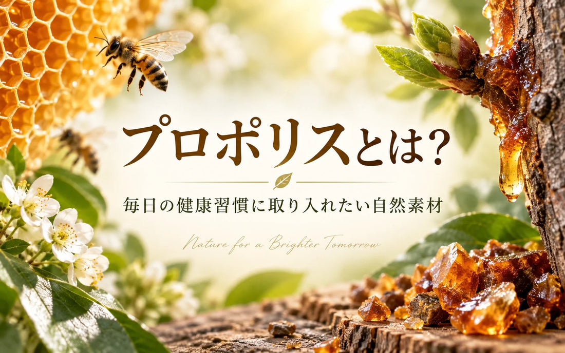 プロポリスの選び方完全ガイド｜ニュージーランド産・フラボノイド・高濃縮タイプ・種類の違いを解説