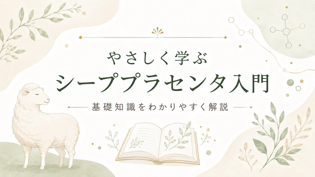 シーププラセンタとは？羊由来プラセンタの特徴・成分・選び方を解説