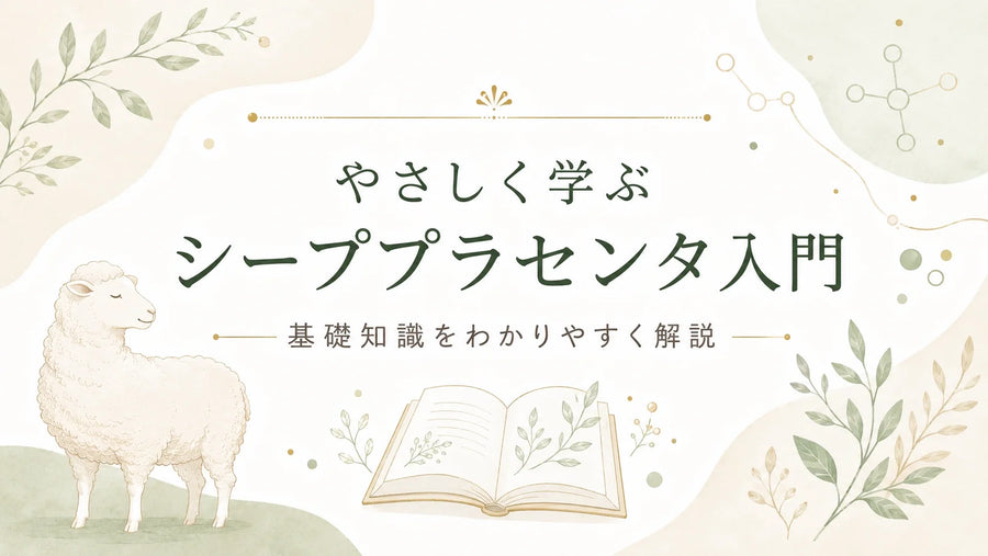 シーププラセンタとは？羊由来プラセンタの特徴・成分・選び方を解説