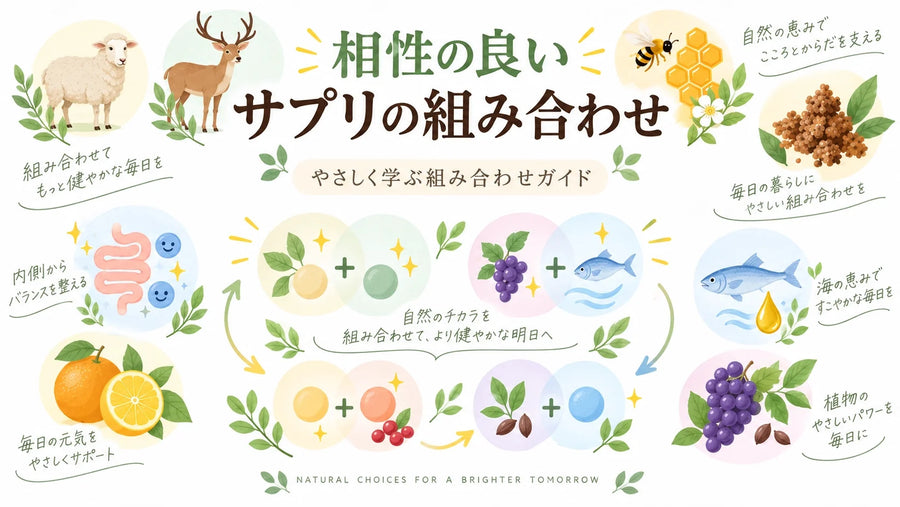 サプリメントの飲み合わせ・組み合わせ方とは？相性のよい選び方と注意点を徹底解説