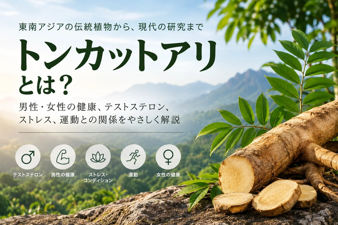 トンカットアリとは？テストステロンとの関係・男性と女性の研究・選び方までわかりやすく解説
