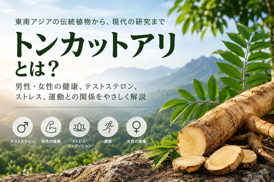 トンカットアリとは？テストステロンとの関係・男性と女性の研究・選び方までわかりやすく解説