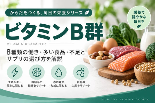 ビタミンB群とは？B1・B2・B6・B12・葉酸など8種類の働き・多い食品・不足とサプリの選び方を解説